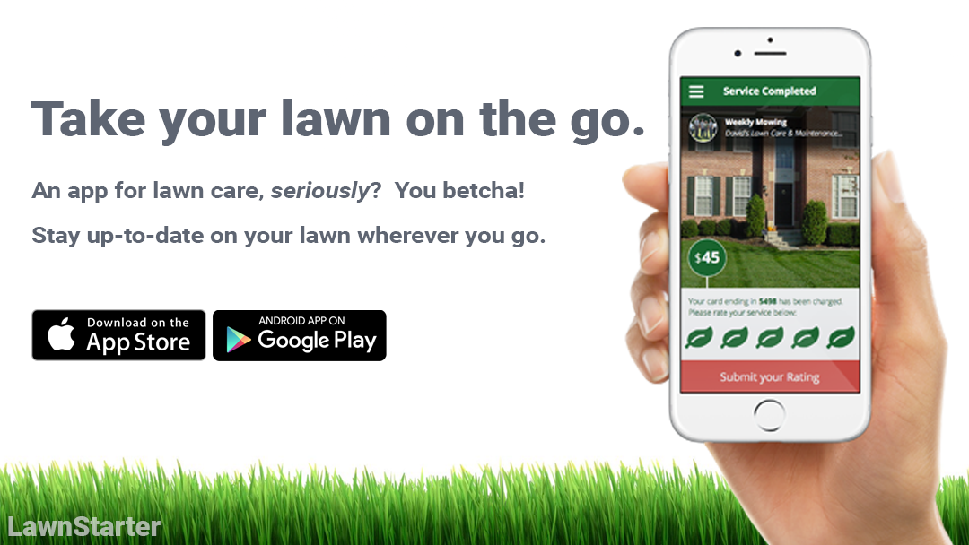 LawnStarter Lawn Care Service