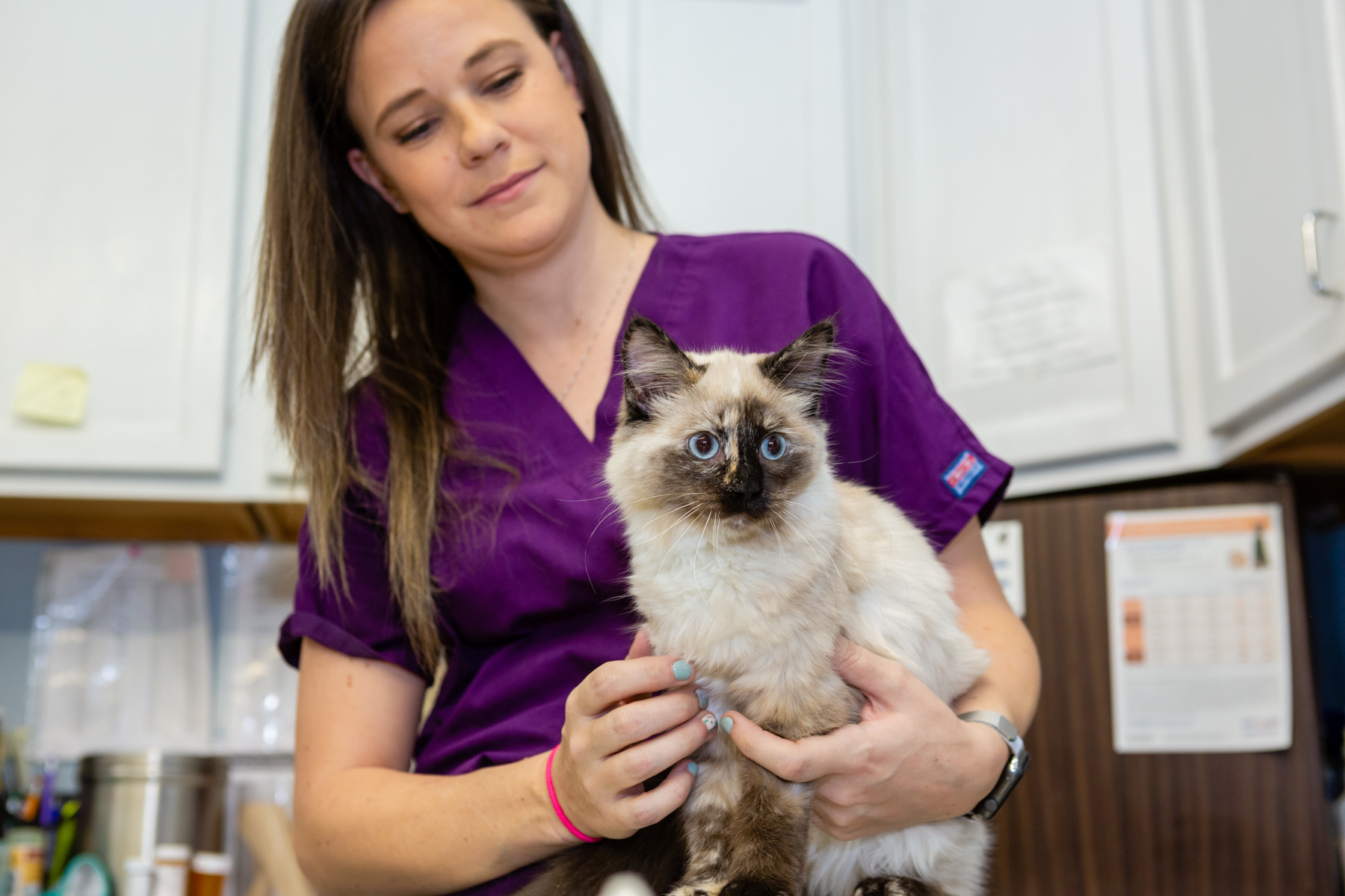 Willow Creek Veterinary Services