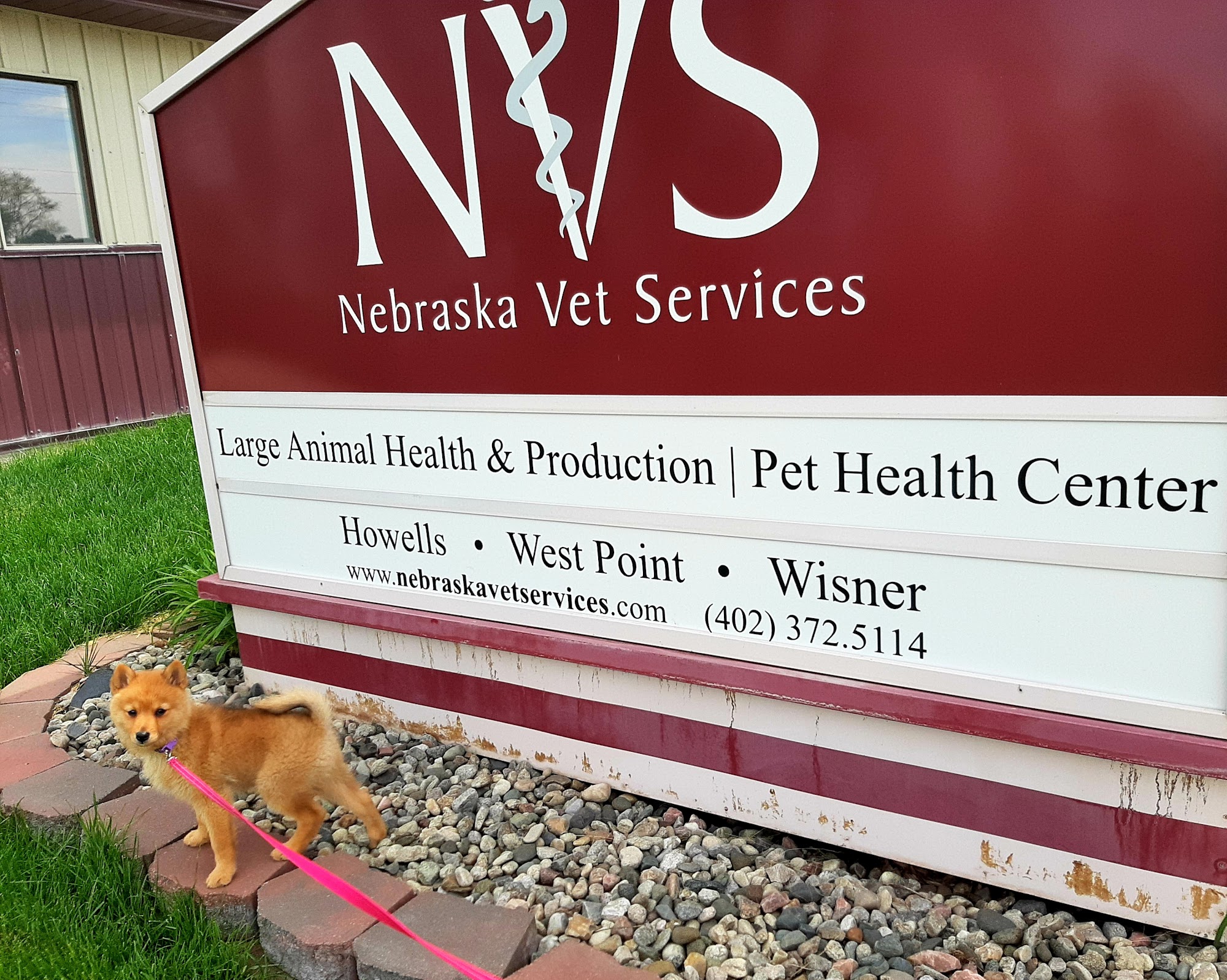 Nebraska Veterinary Services 450 Deere St, West Point Nebraska 68788