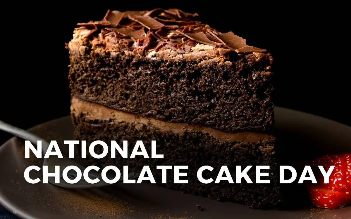 Best Bakeries to Celebrate National Chocolate Cake Day