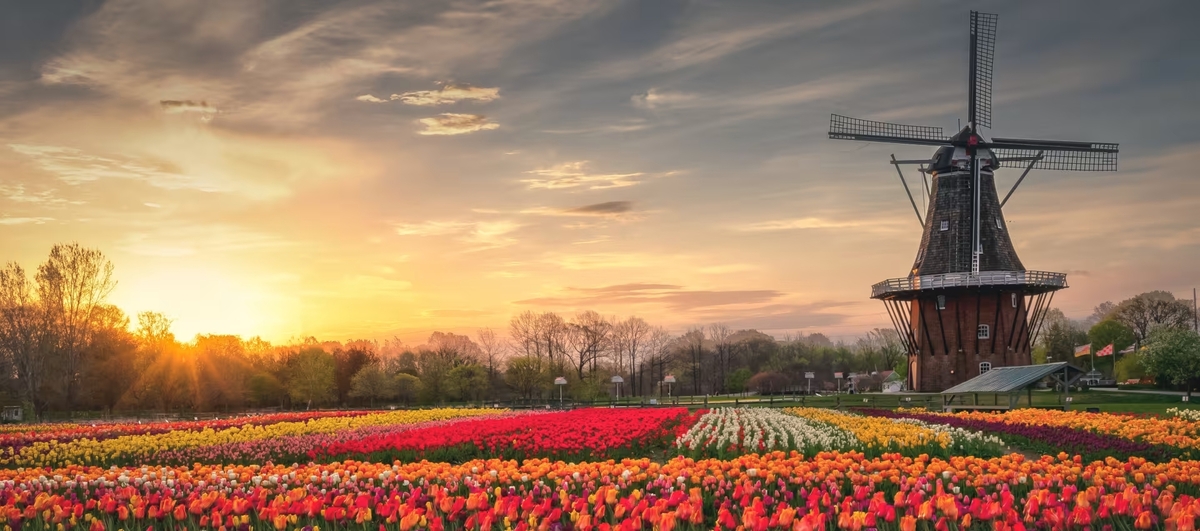 Where to Eat in Holland, Michigan During Tulip Time Festival 2025