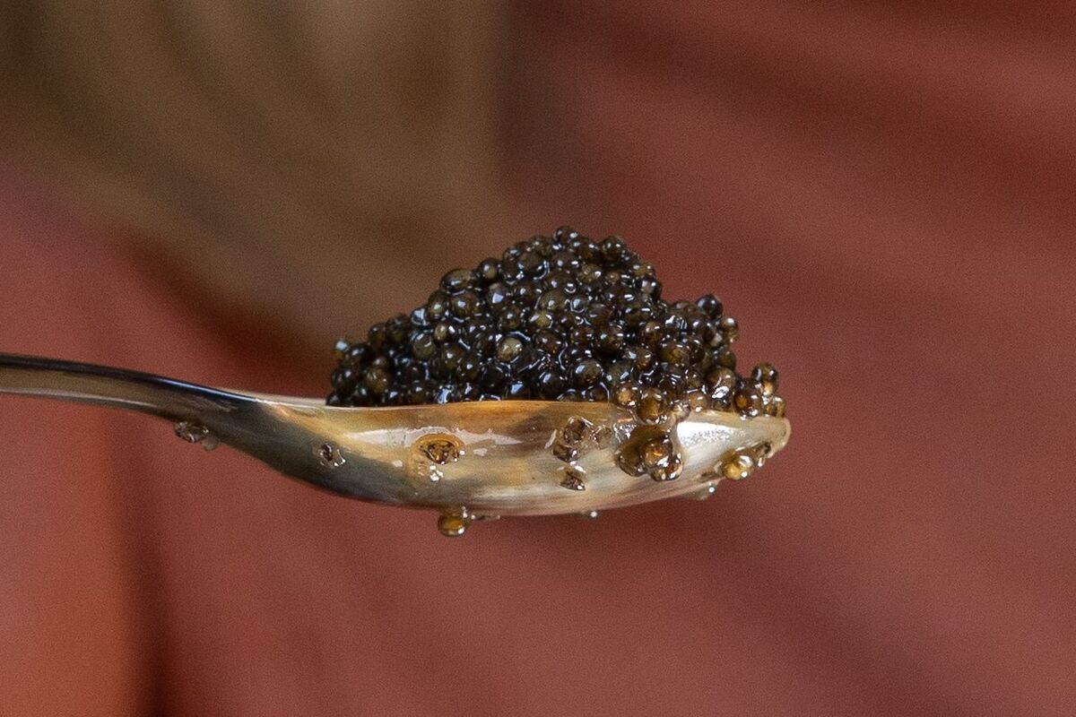 California Caviar Company Pioneers a New Era of Caviar Production