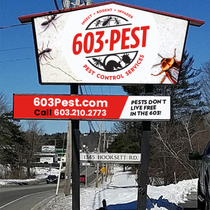 603 Pest Control Services