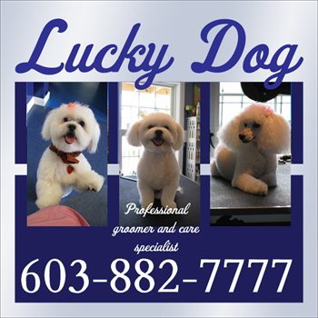 Lucky Dog Lodge LLC