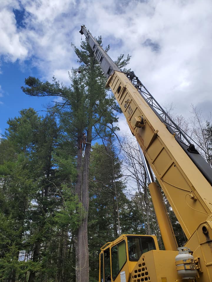 Rotten Rock Logging & Tree Service LLC 185 Valley View Rd, North Conway New Hampshire 03860