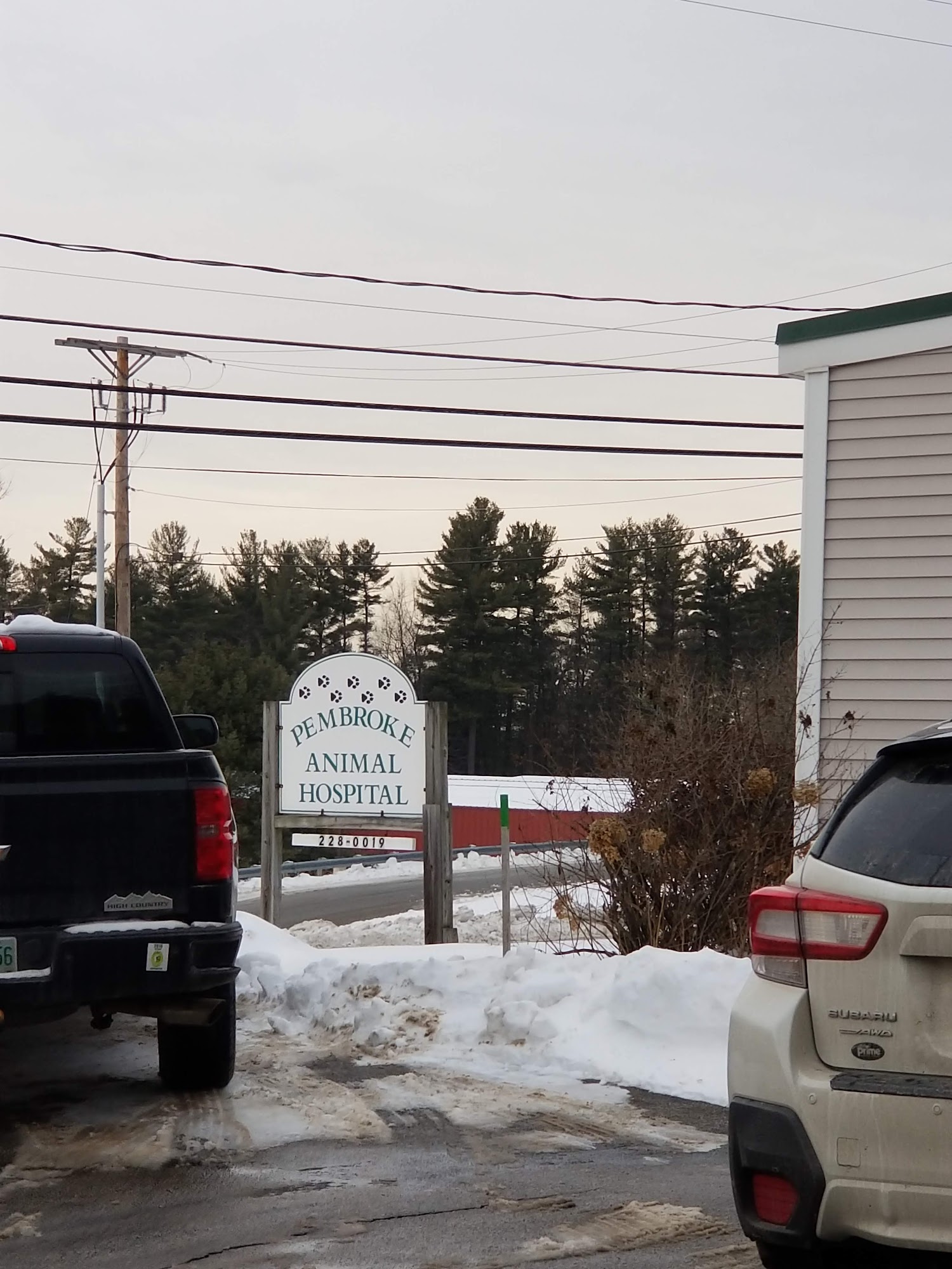 Pembroke Animal Hospital: Luksic Rachel DVM