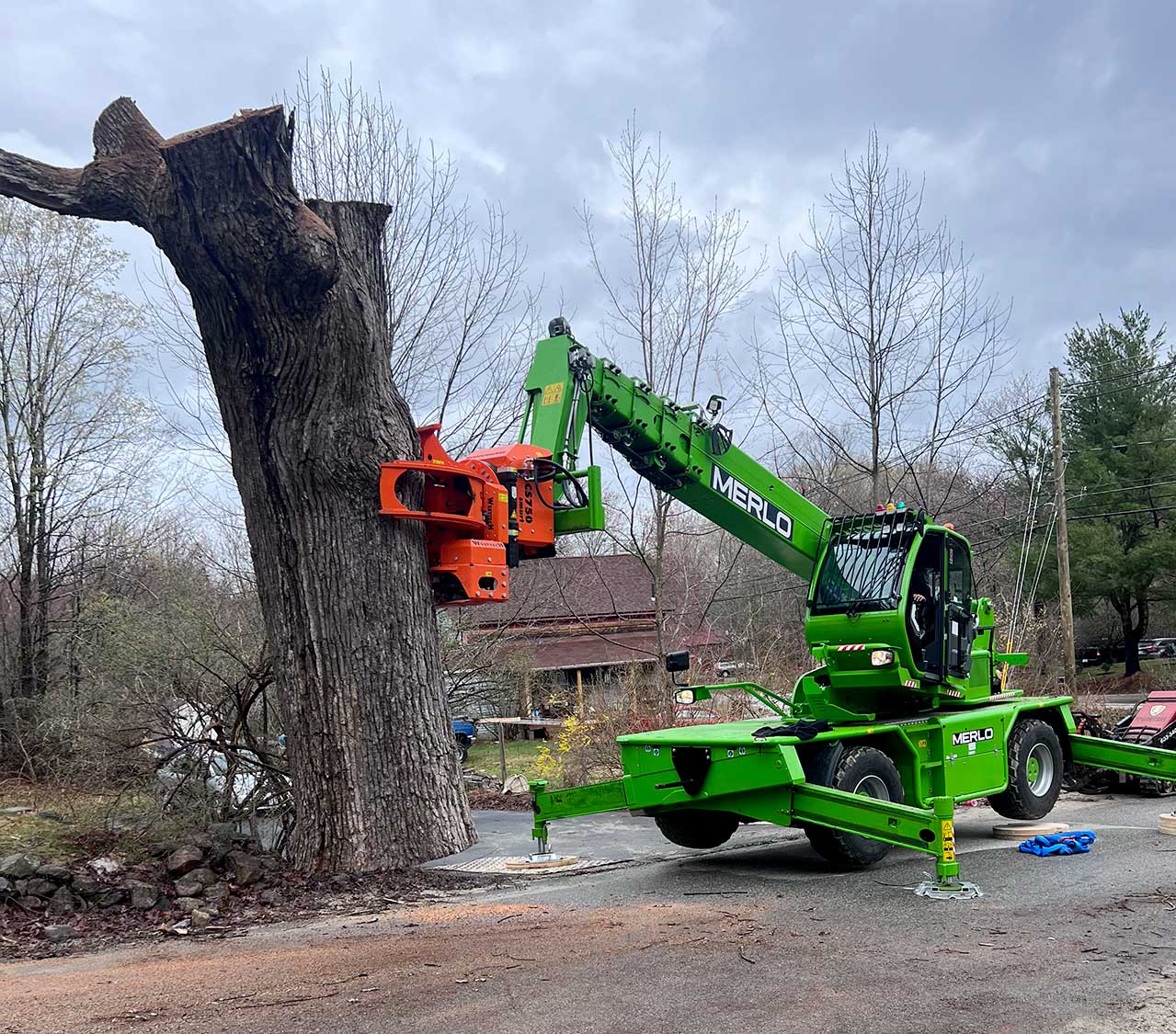 Arborcare Tree Service