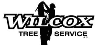 Wilcox Tree Service 923 NH-12, Westmoreland New Hampshire 03467