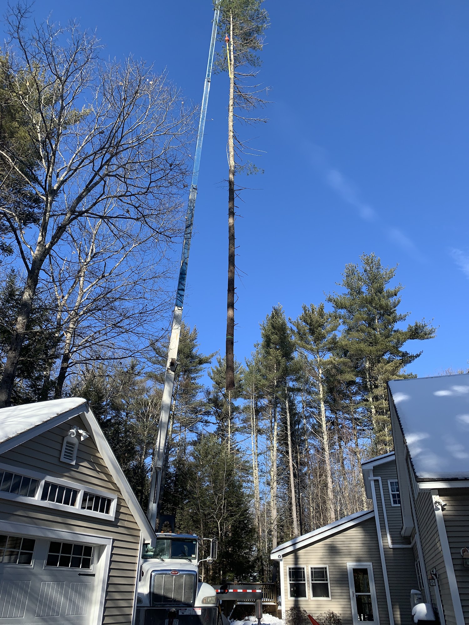 Profile Tree Care & Excavation 38 Filter Bed Rd, Wolfeboro New Hampshire 03894