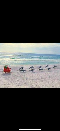 Unleashed Potential K9 Academy NJ Allendale