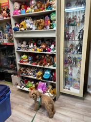 Tinkerbeee's Toy & Comic Store