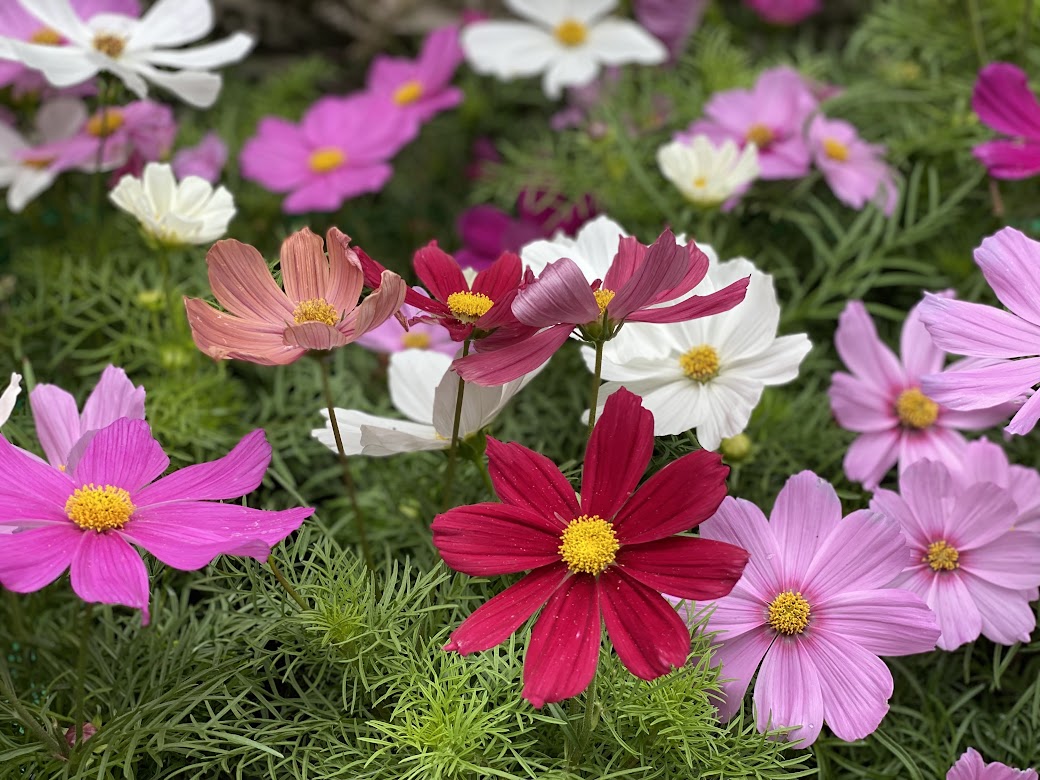 Glenwild Garden Center 104 Glenwild Ave, Bloomingdale New Jersey 07403