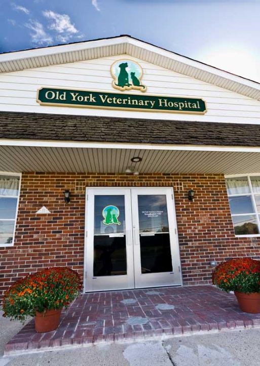 Old York Veterinary Hospital 2126 Old York Rd, Bordentown New Jersey 08505