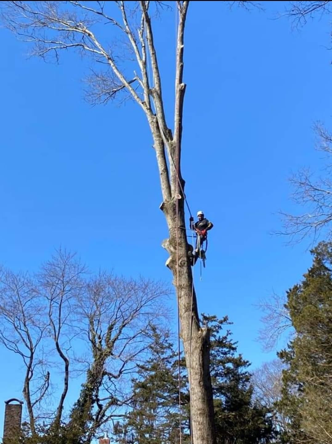 Julio's Tree Services LLC 49 Talmage Ave, Bound Brook New Jersey 08805