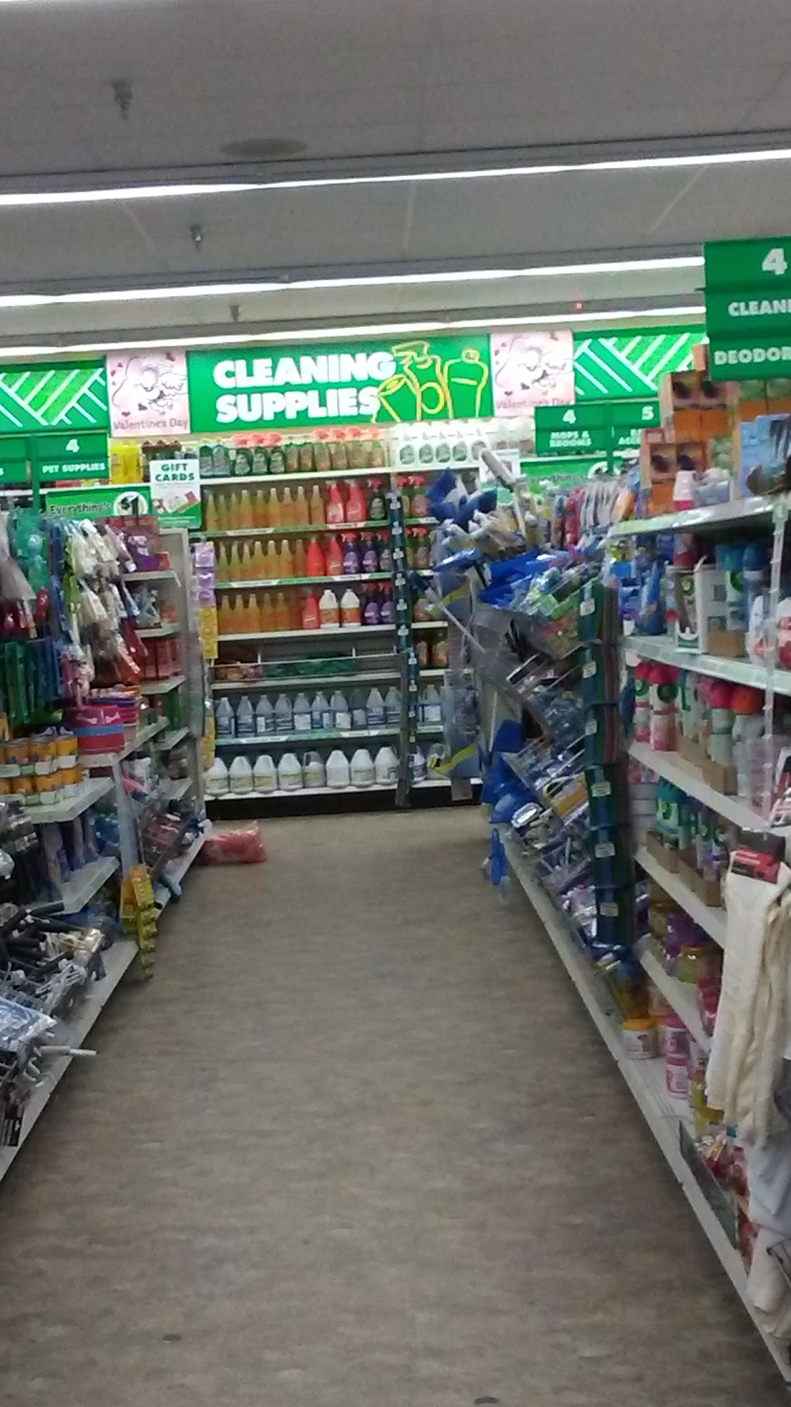 Dollar Tree