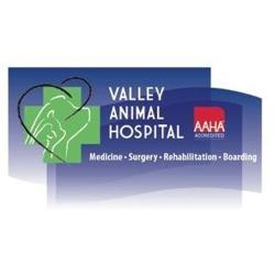 Valley Animal Hospital: De Lucia Joseph A DVM