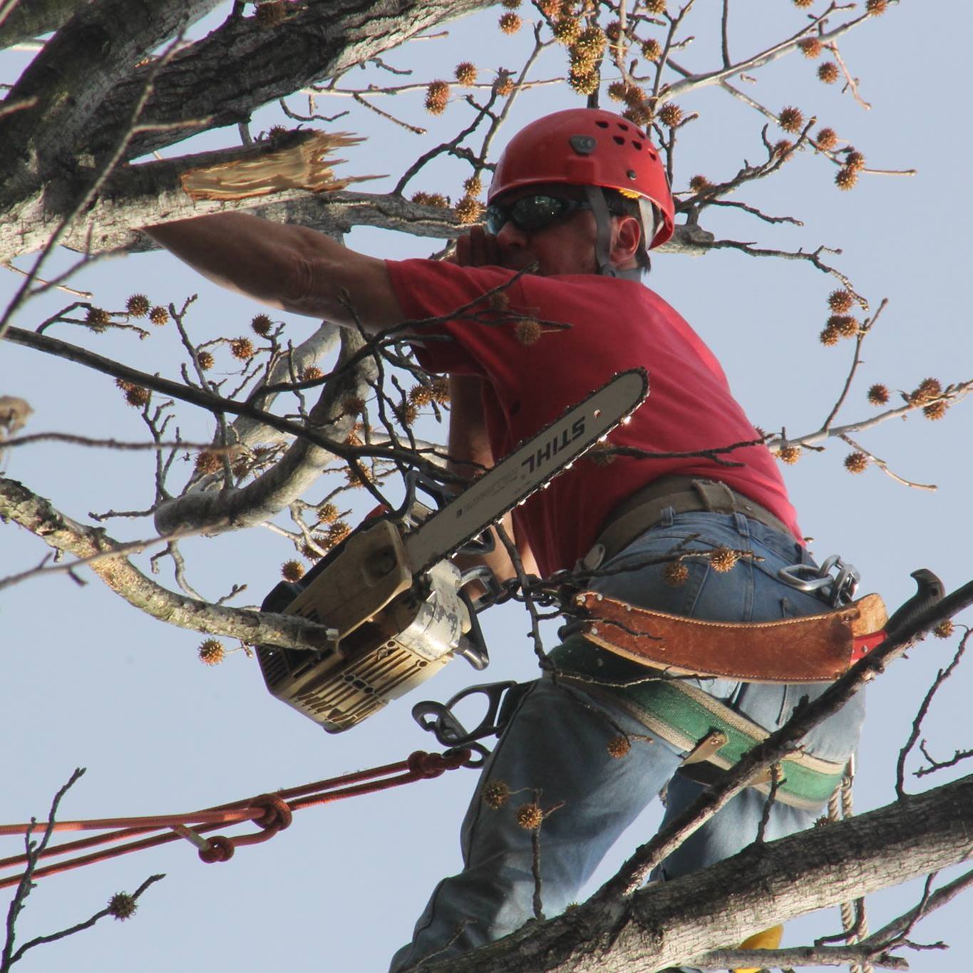 Palisades Tree Services 148 Lexington Ave, Cresskill New Jersey 07626