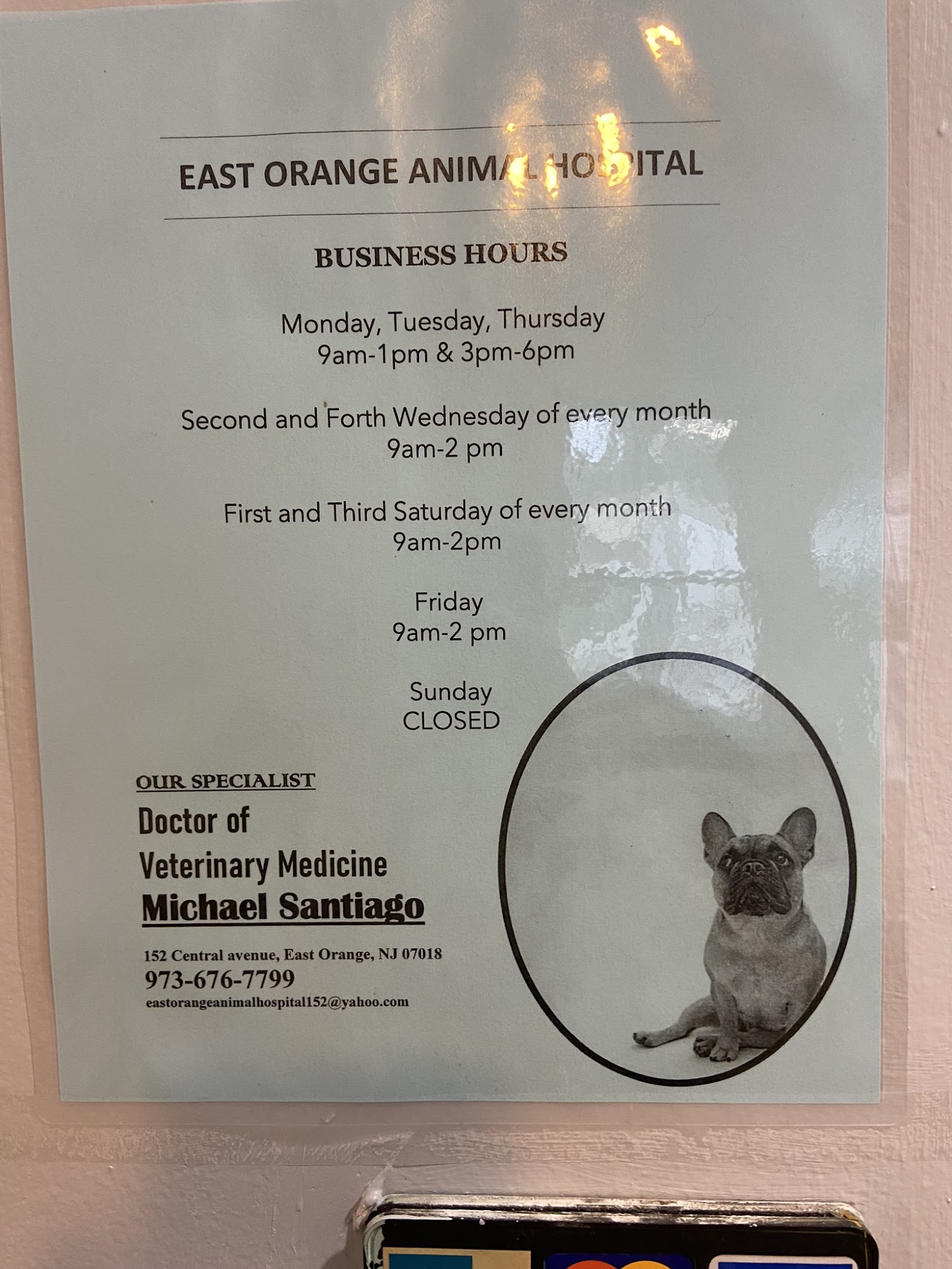 East Orange Animal Hospital