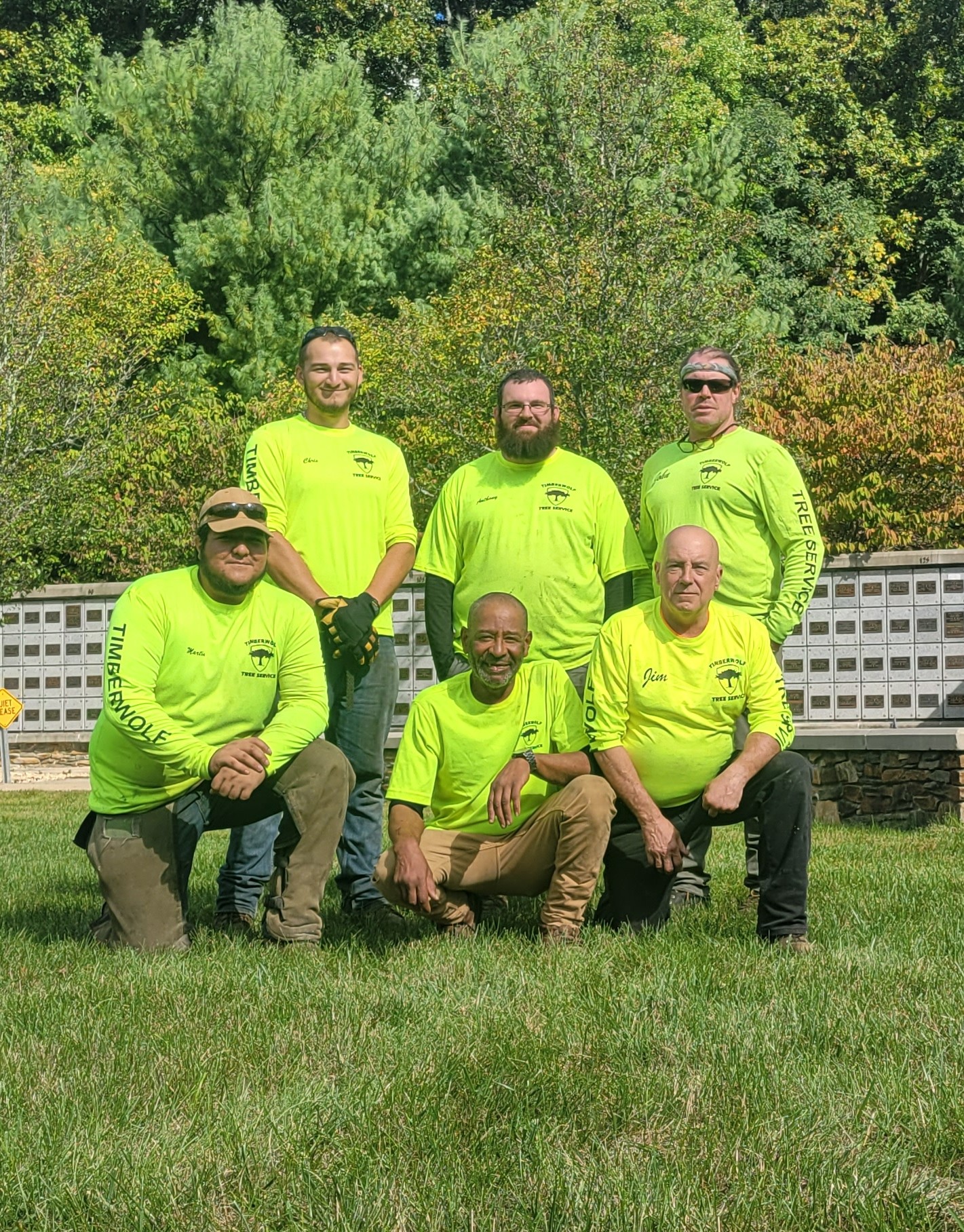 Timberwolf Tree Service 94 Disbrow Hill Rd, East Windsor New Jersey 08520