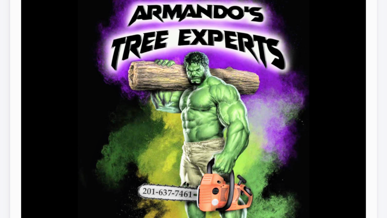 Armando's Tree Experts Llp