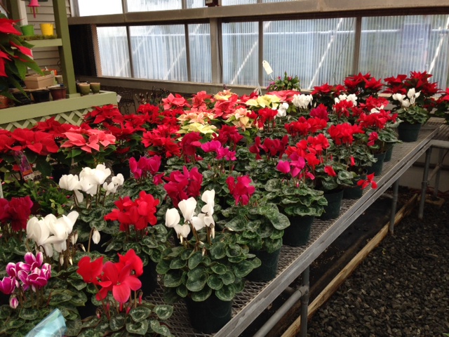 Flemington Floral Company & Greenhouses, Inc