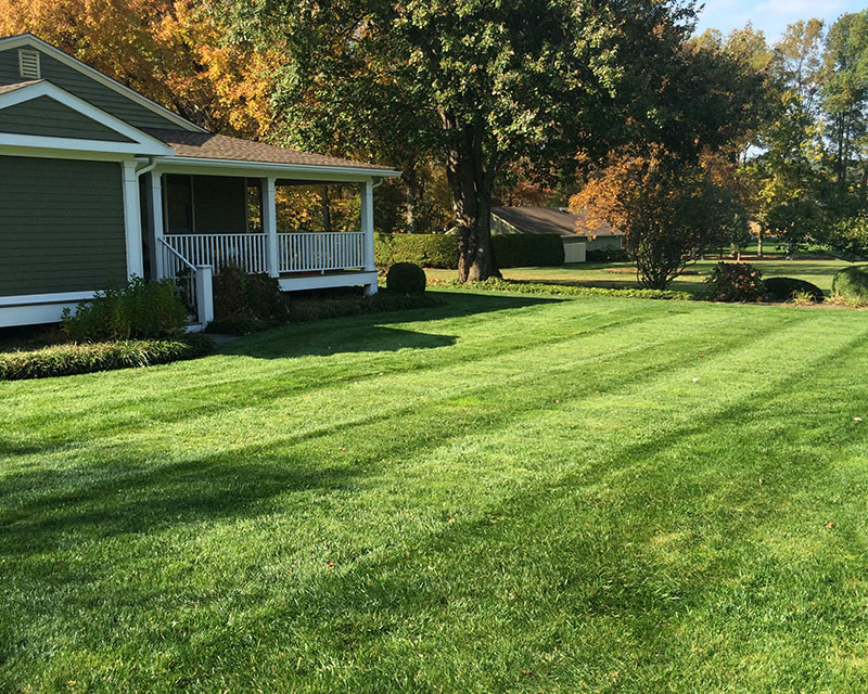 Whole 9 Yards Lawn Care and Landscapes