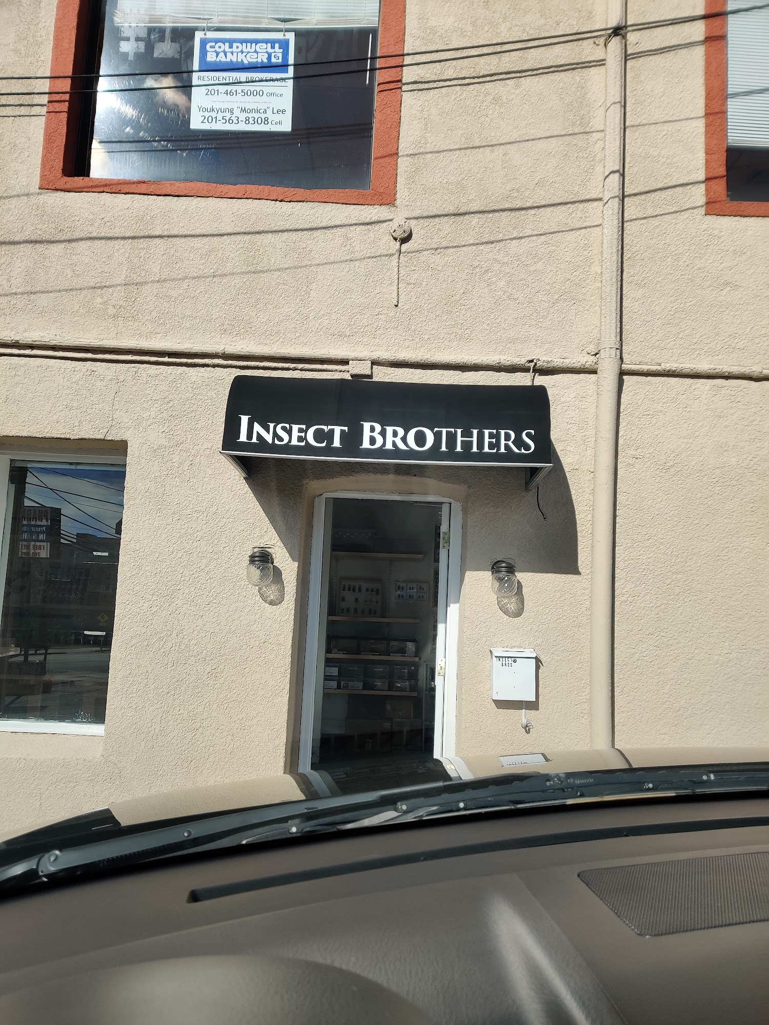 Insect Brothers