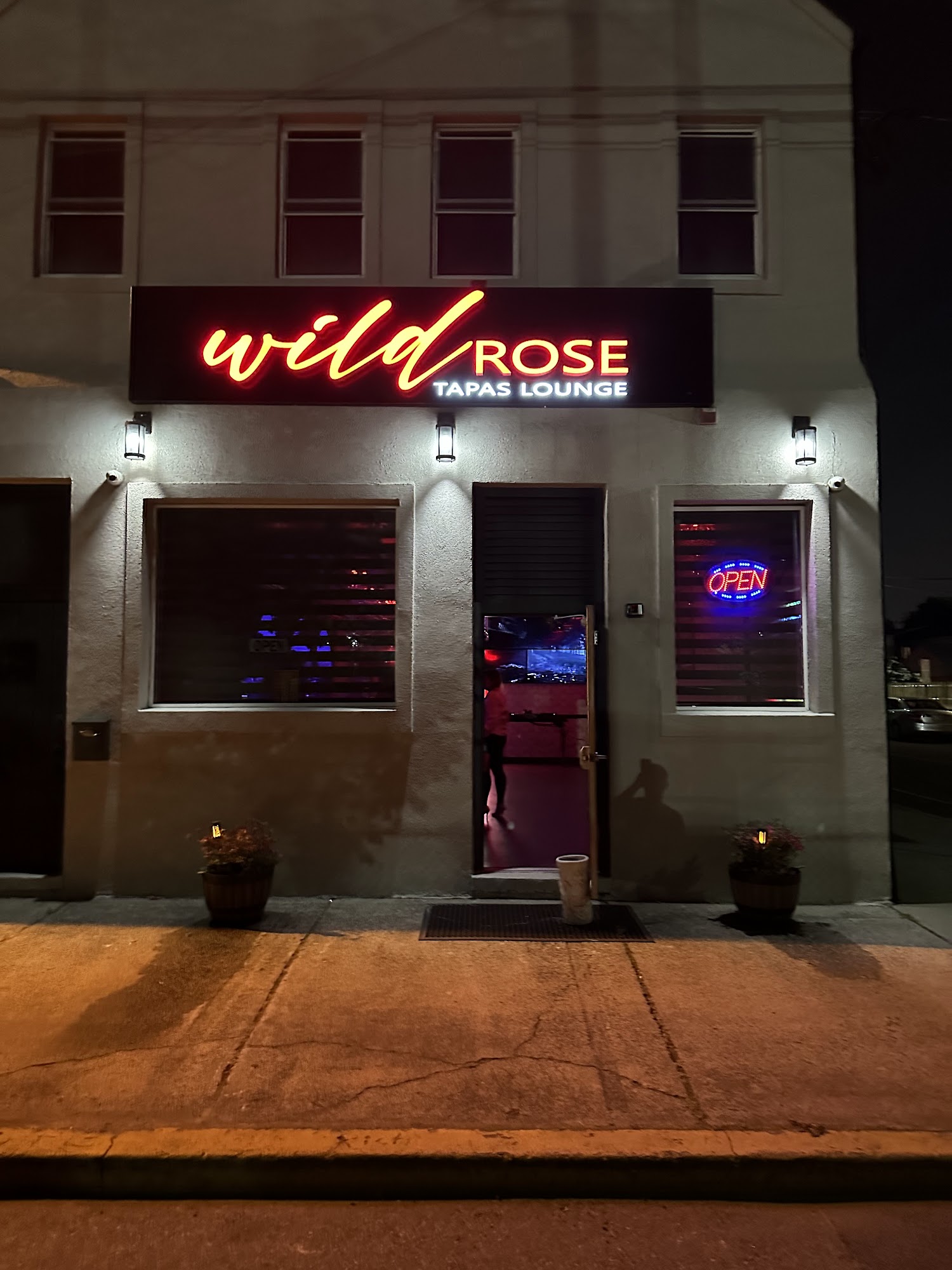 Wild Rose