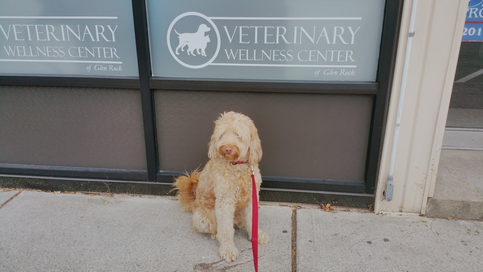 Veterinary Wellness Center of Glen Rock 196 Rock Rd, Glen Rock New Jersey 07452