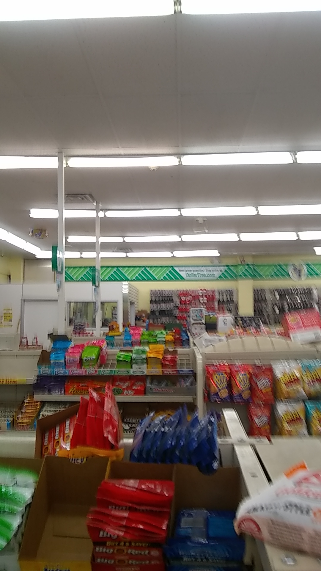 Dollar Tree