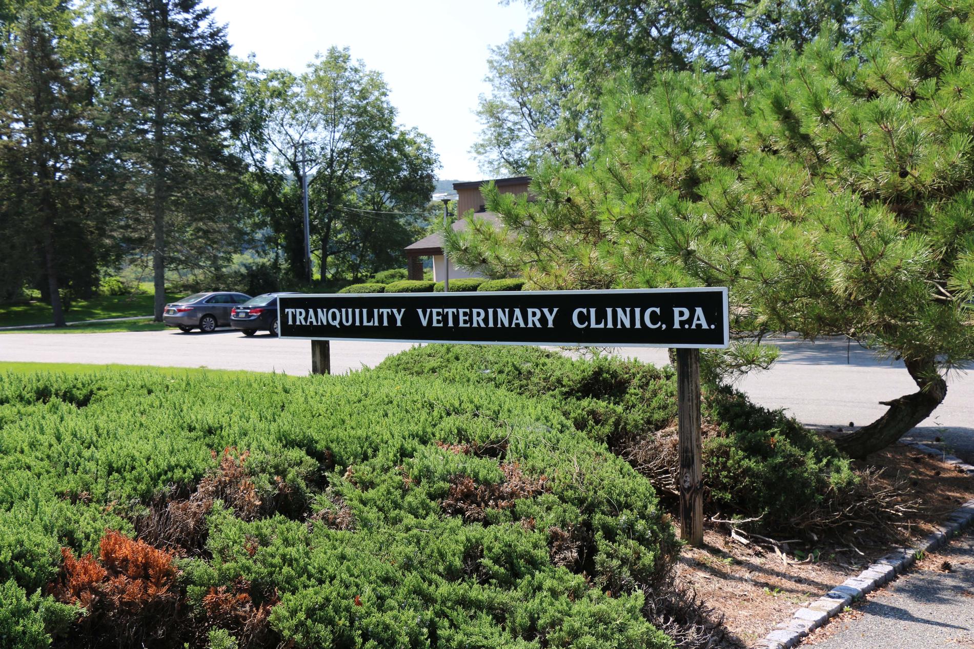 Tranquility Veterinary Clinic 17 Kennedy Rd, Tranquility New Jersey 07821
