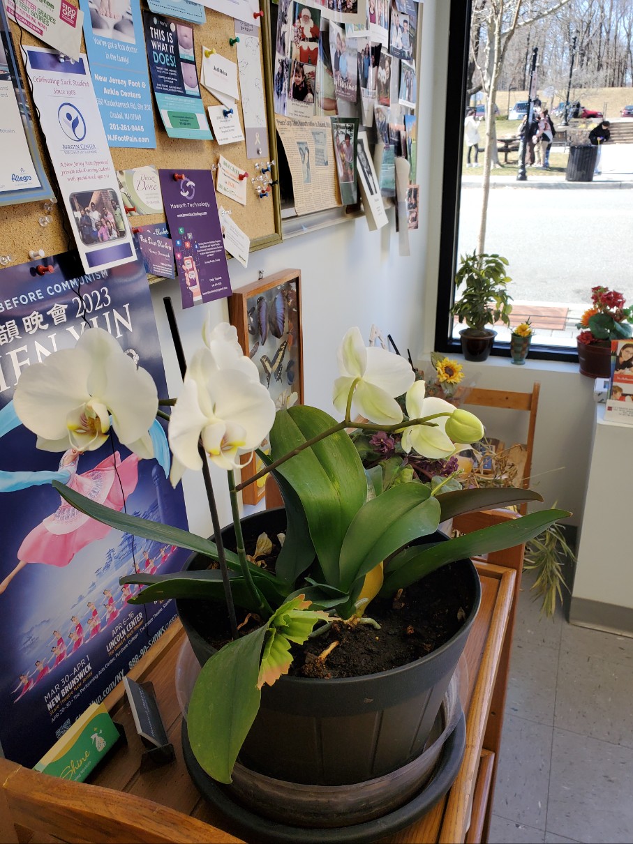 Haworth Cleaners Haworth