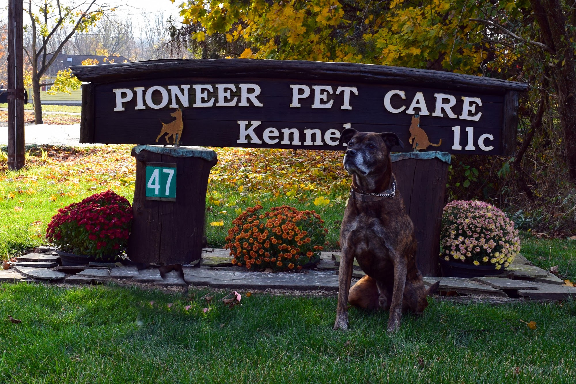 Pioneer Pet Care