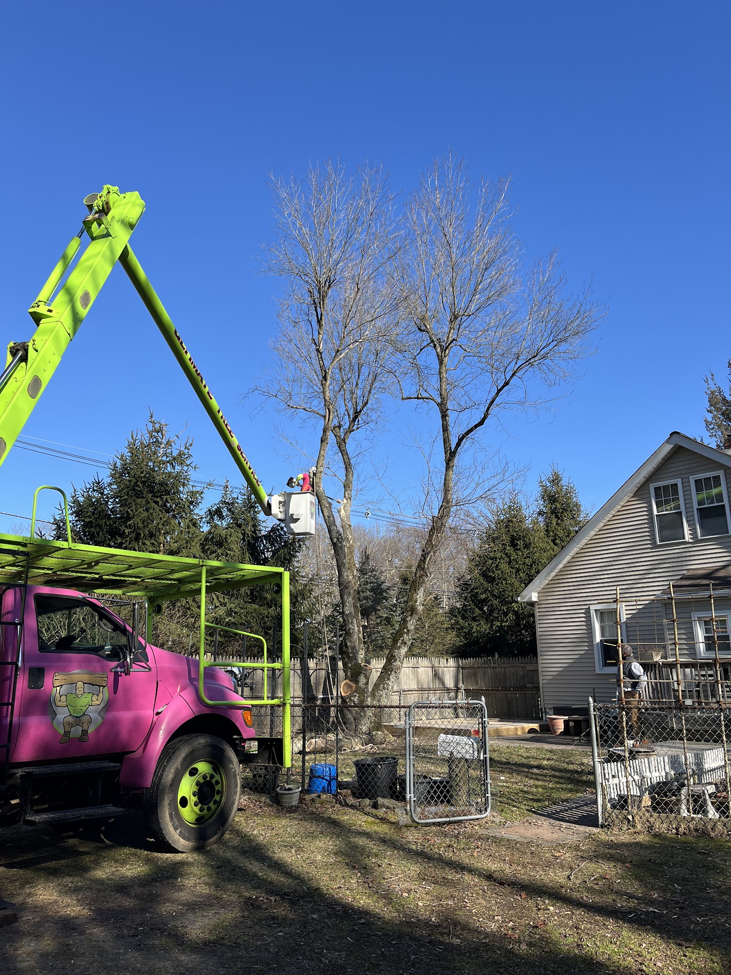 Ultimate Tree Service