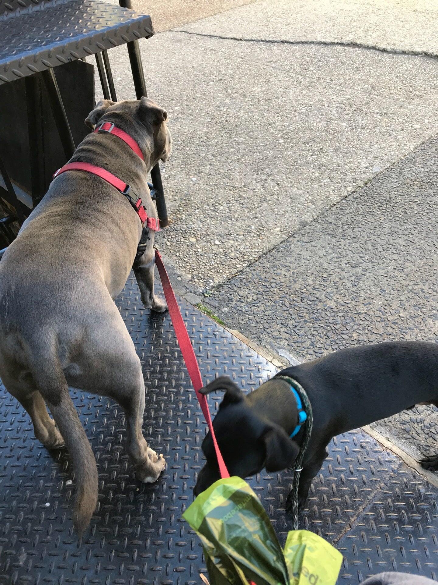 Photo credit: nextdoor