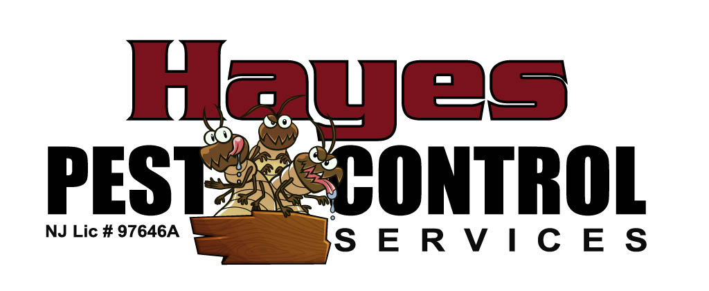 Hayes Pest Control Services 549 Hardwood Dr, Lanoka Harbor New Jersey 08734
