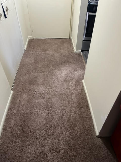 Sure Shot Carpet Cleaning