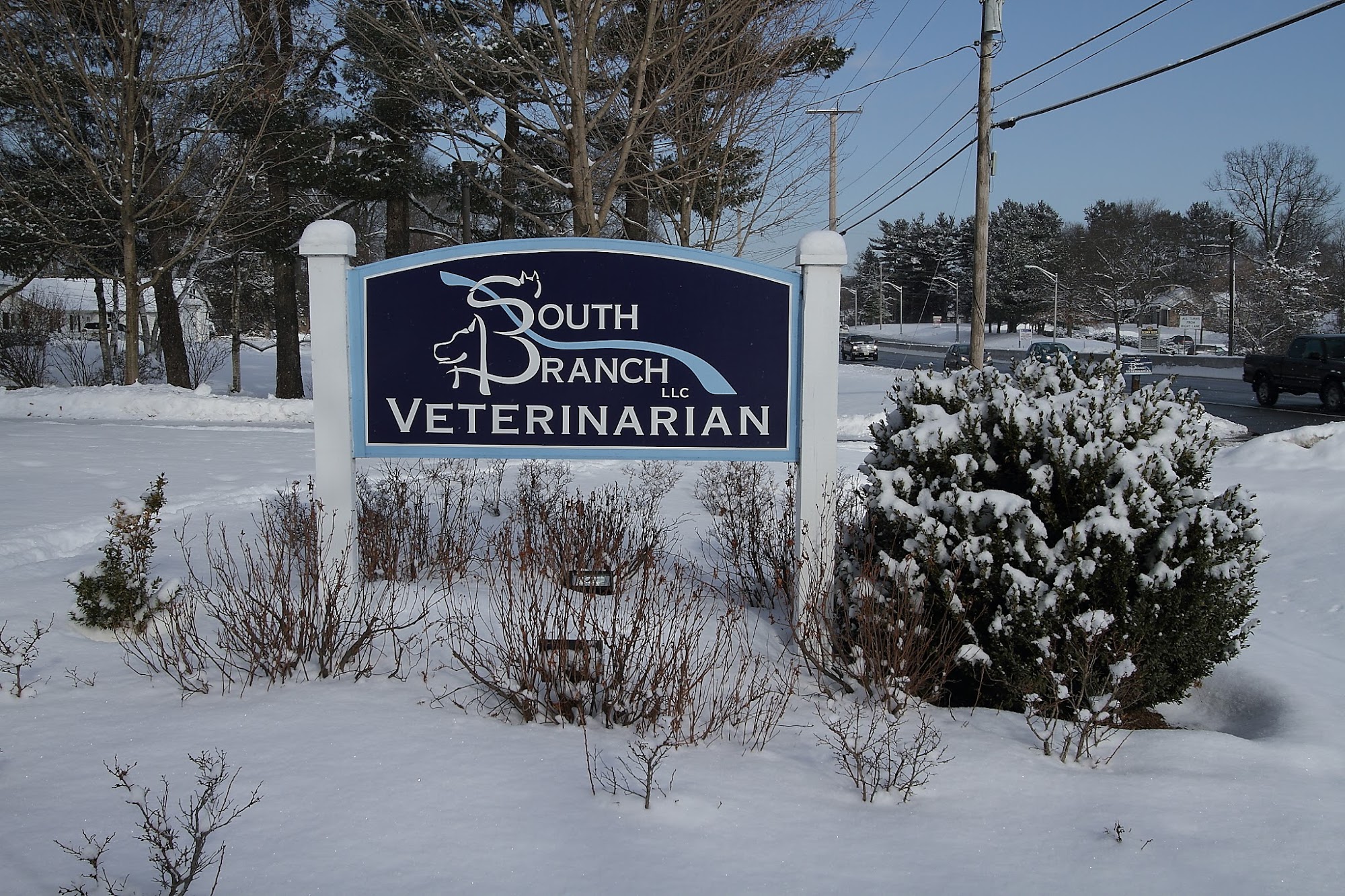 South Branch Veterinary Services 1127 NJ-31, Lebanon New Jersey 08833
