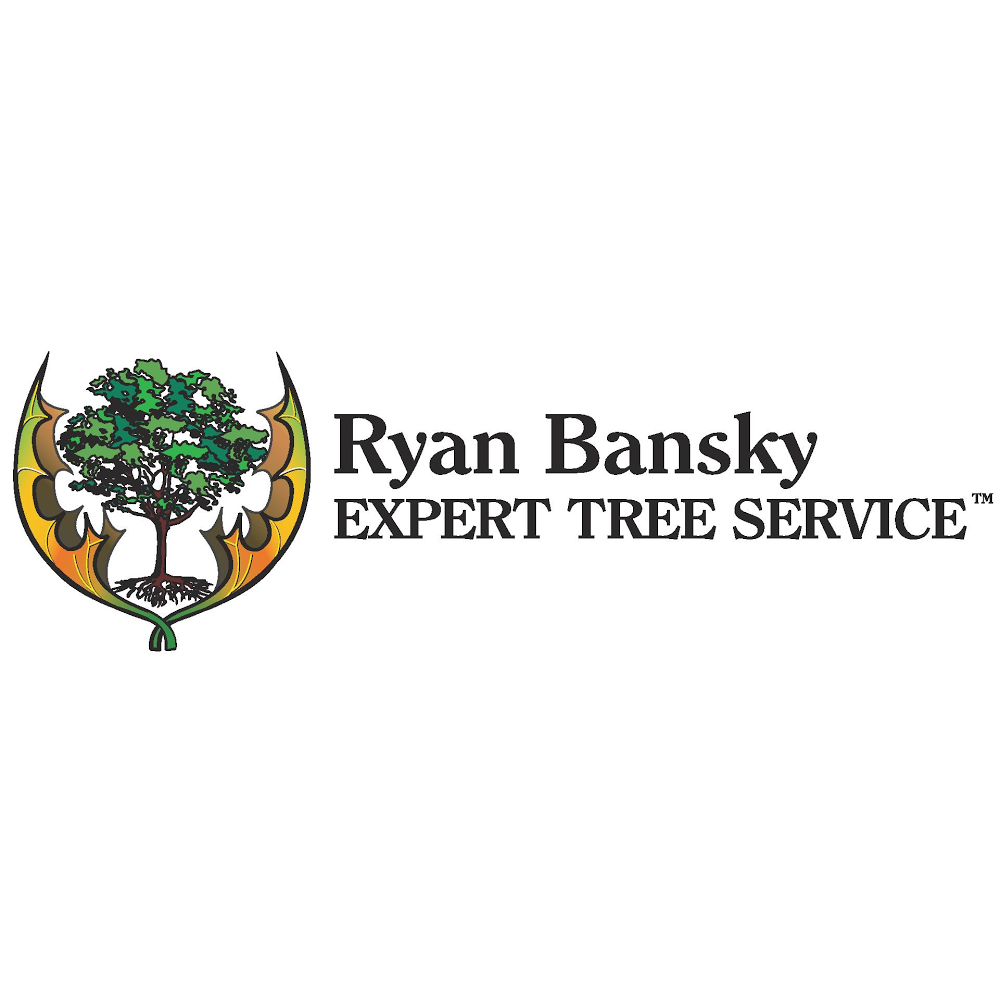 Ryan Bansky Tree 44 W Maple Ave, Lindenwold New Jersey 08021