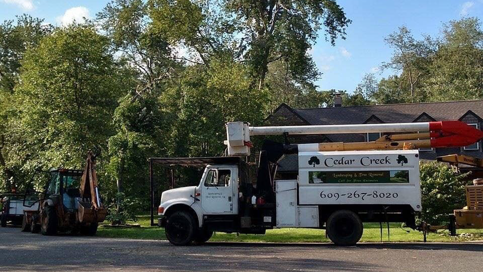 Cedar Creek Tree Removal