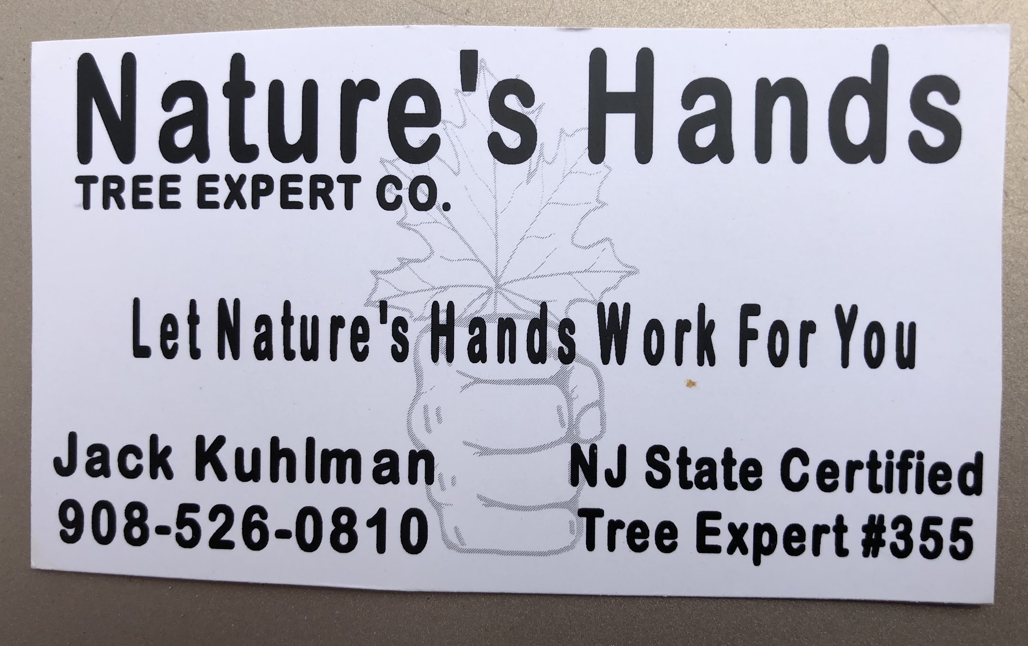 Nature’s Hands Tree Experts