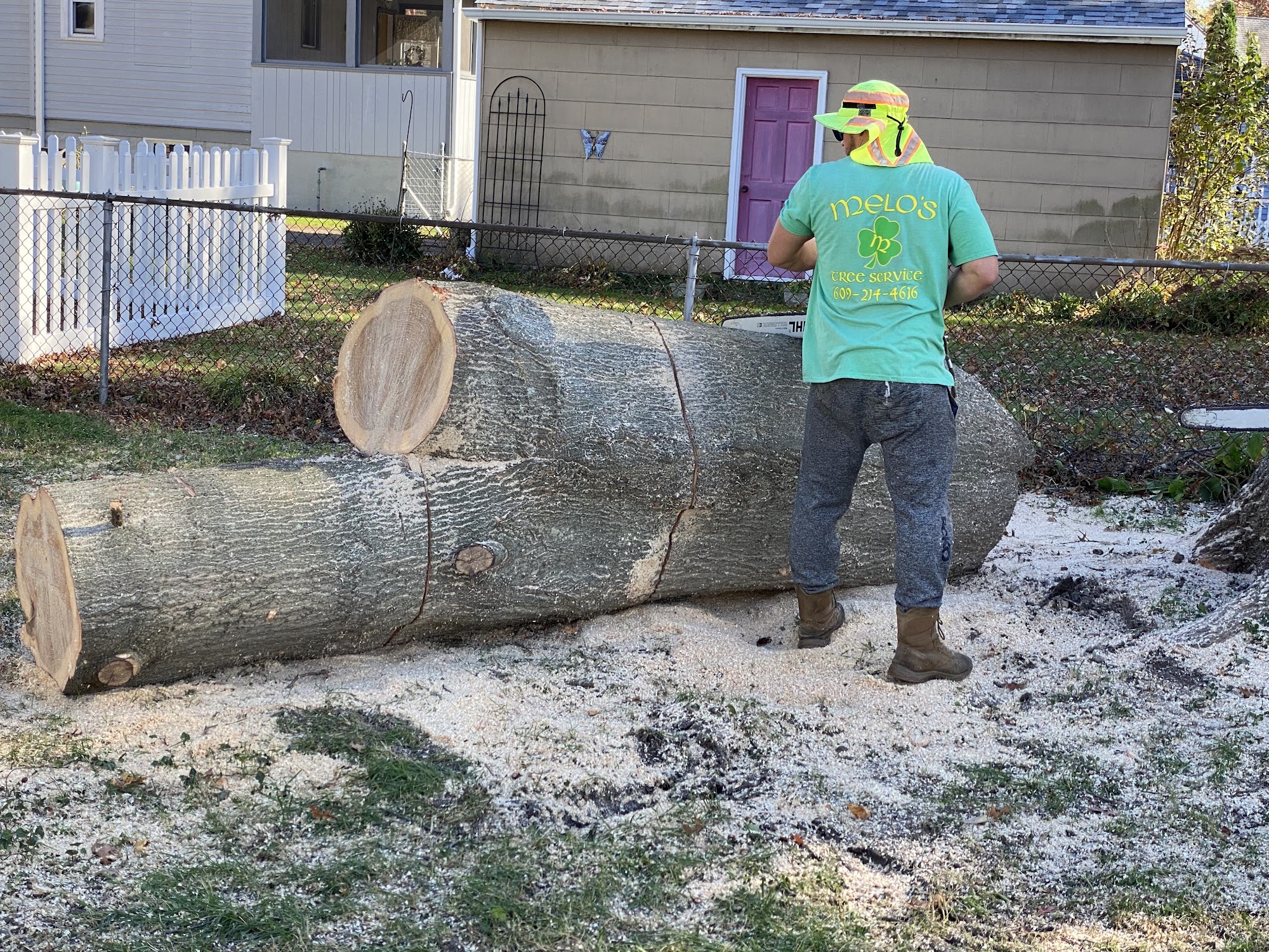 Melo's Tree Service 434 S Forklanding Rd, Maple Shade New Jersey 08052