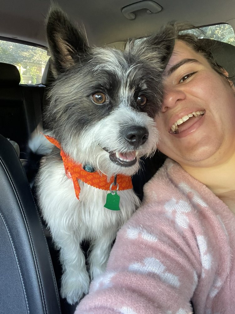 Adrienne's Pet Grooming Millville