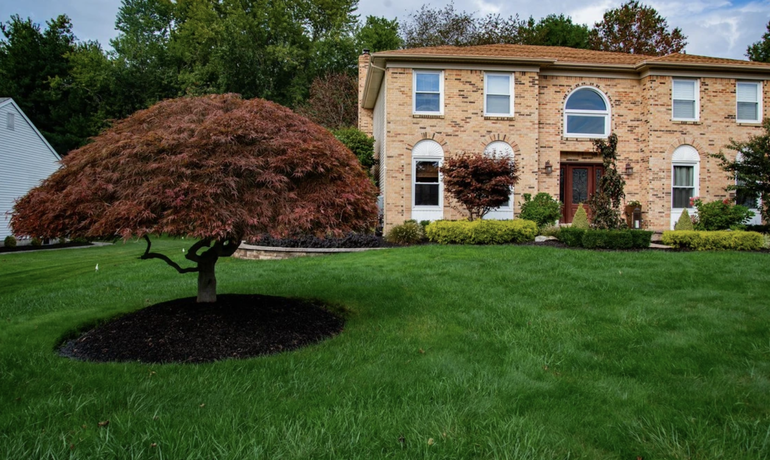 Intelliscape Landscaping and Lawn Care