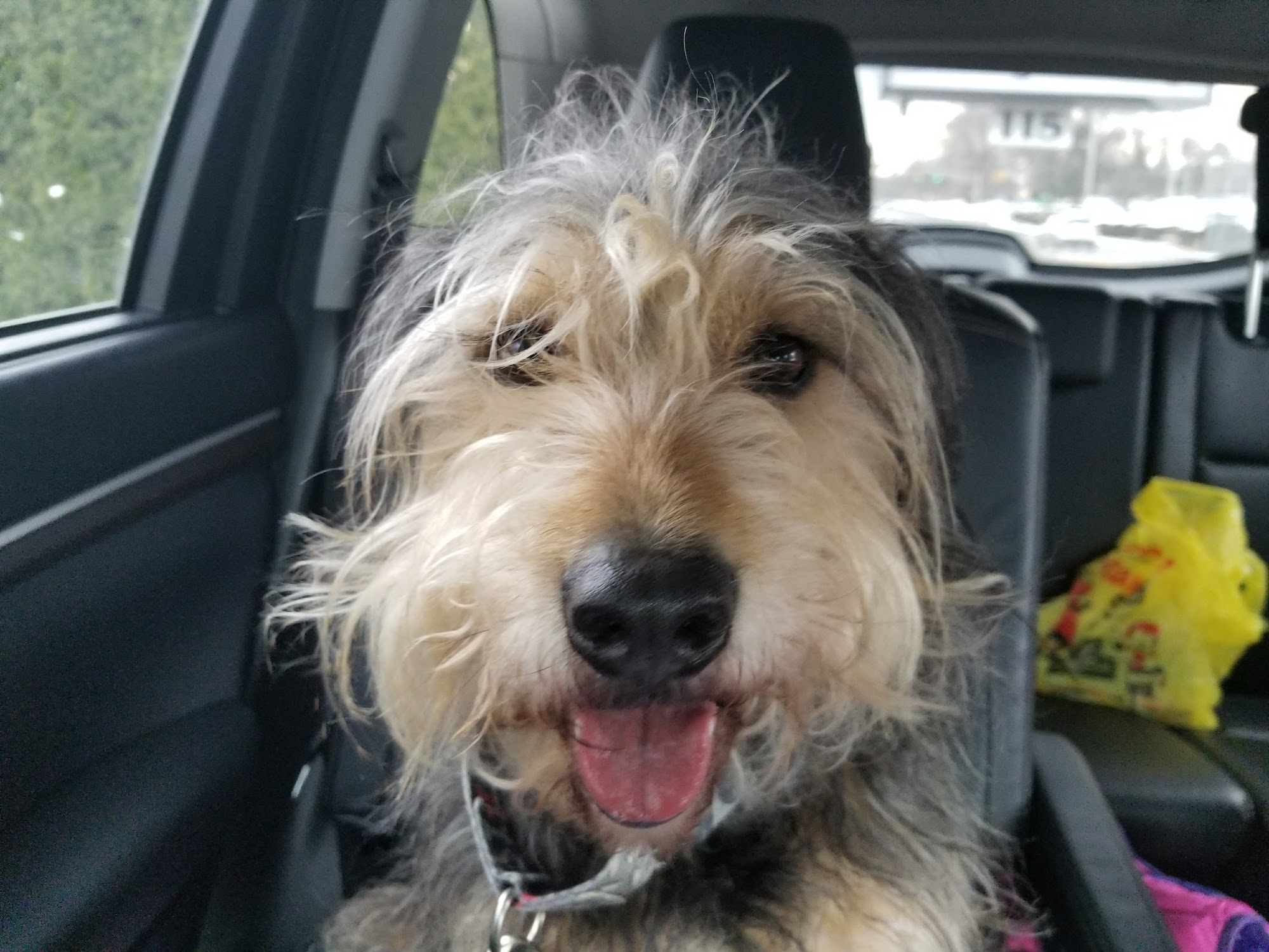 Montvale Animal Hospital Montvale