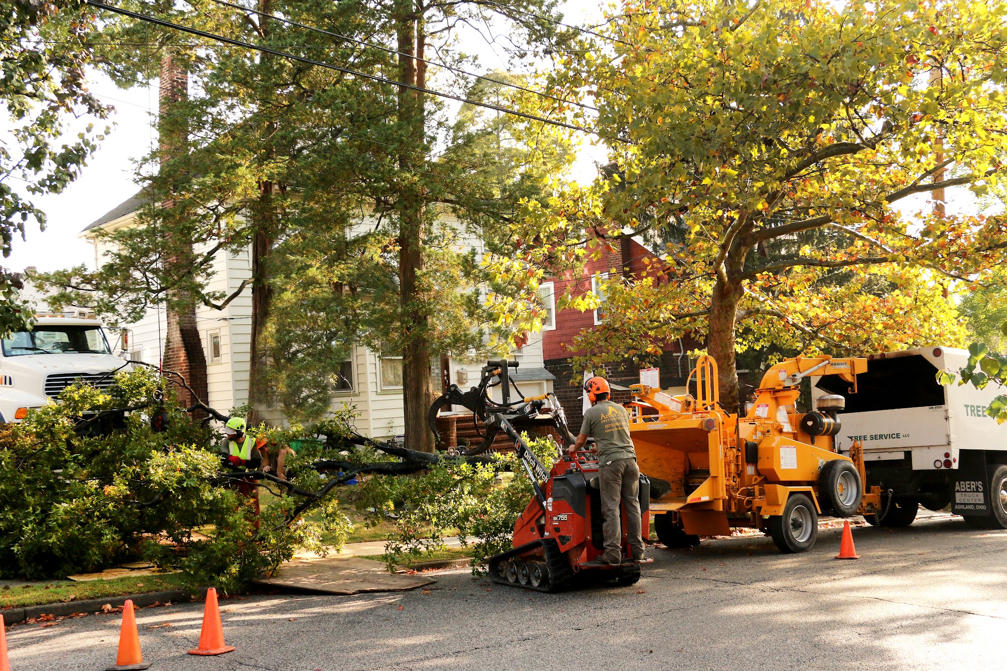 Arbor Ace Tree Service 12 Old Ln Ext, Montville New Jersey 07082