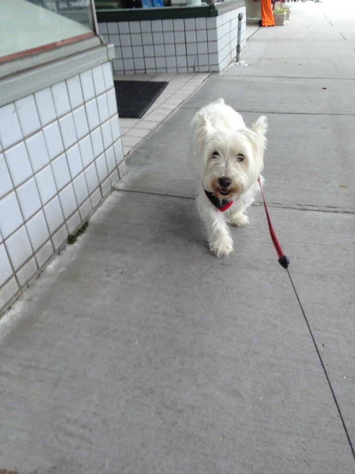 Photo credit: nextdoor