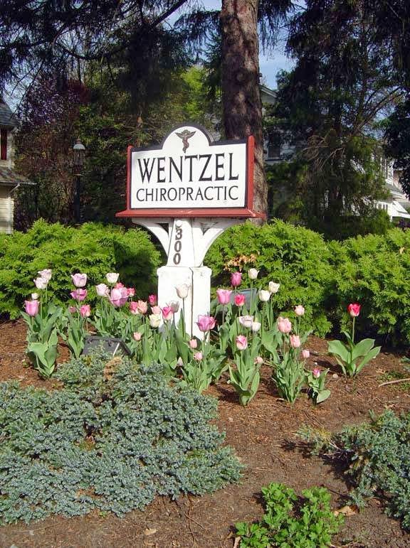 Wentzel Chiropractic Centre