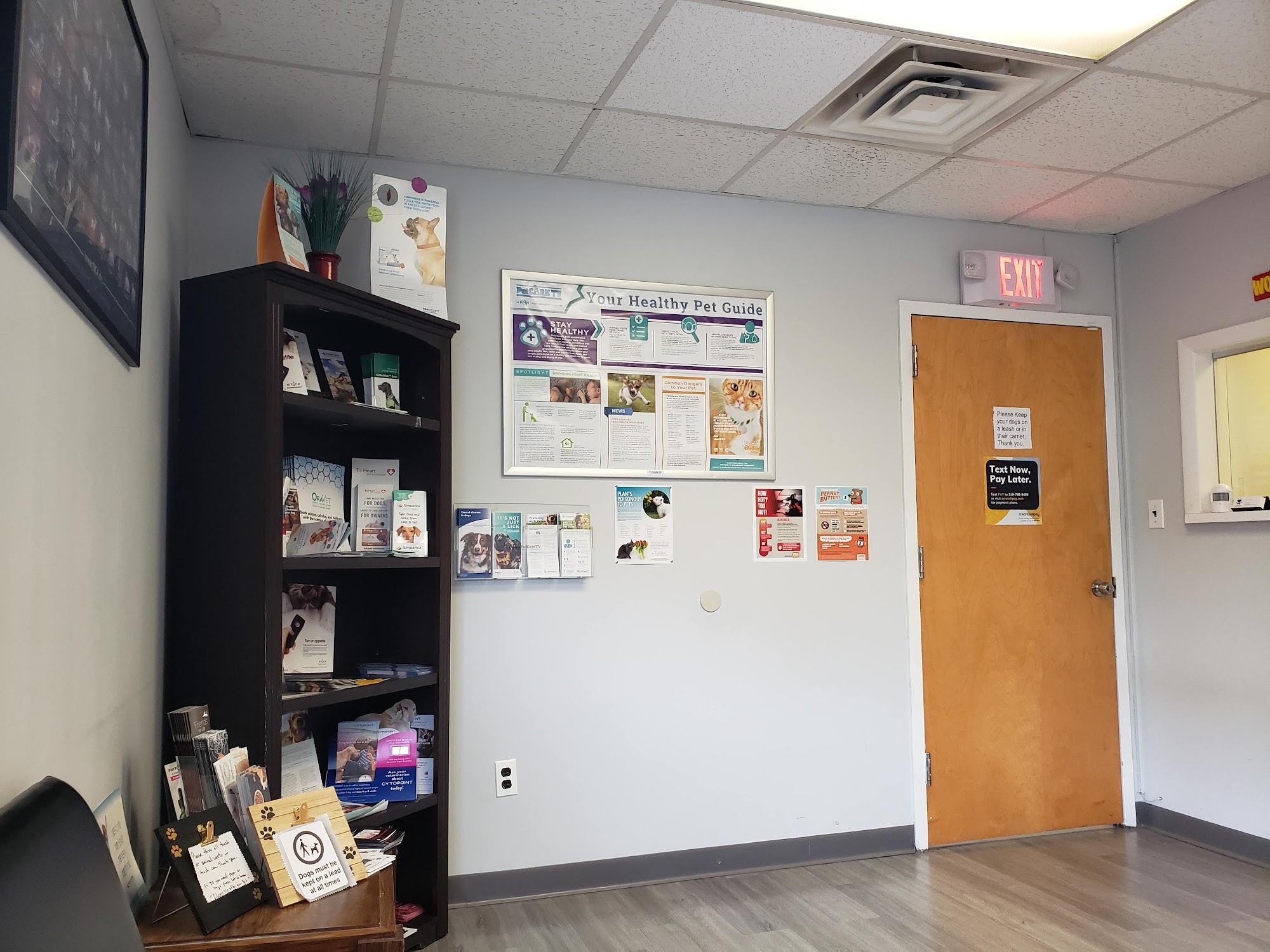 Ridge Road Animal Hospital North Arlington