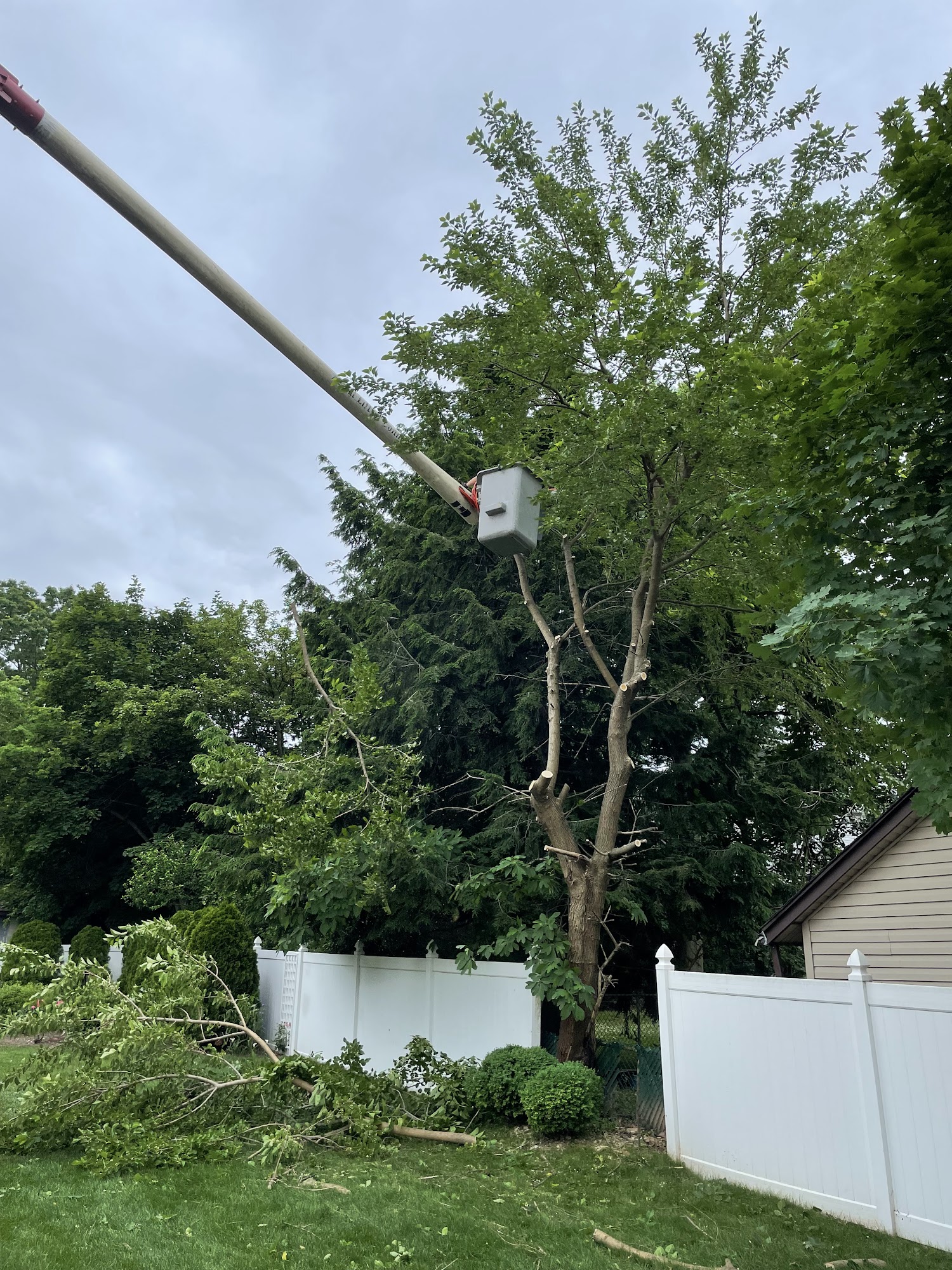 Uncle Matty's Tree Service 20 River Rd, North Arlington New Jersey 07031